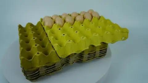 Supplier