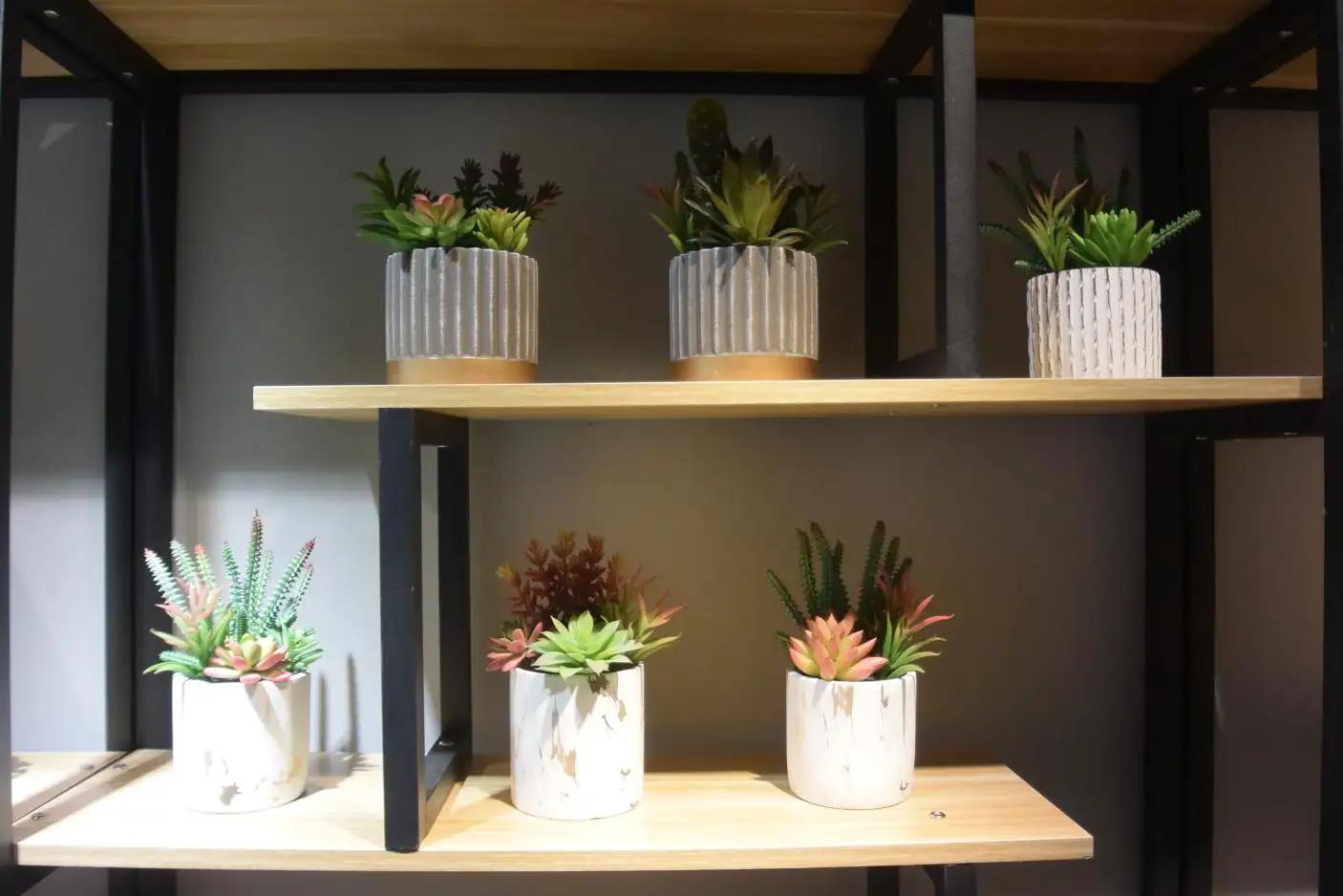Shantou Tizen Homeware Co., Ltd.