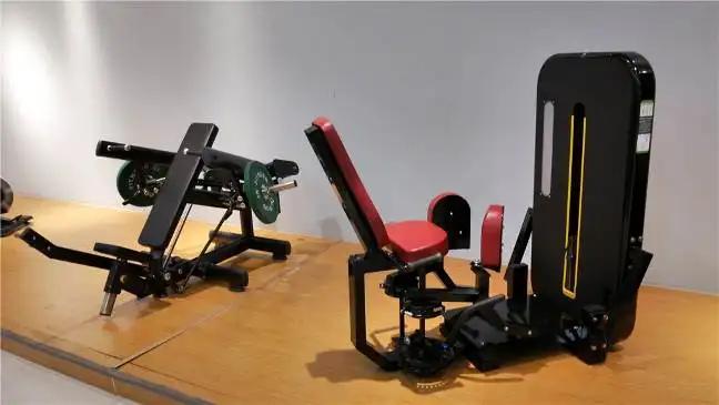 Shandong Lizhixing Fitness Technology Co., Ltd.