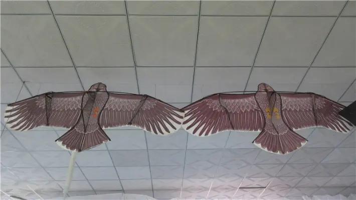 Weifang Kaixuan Kite Manufacture Co., Ltd.