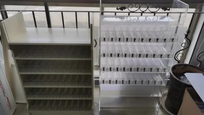 Ningbo Weibang Display Props Co., Ltd.