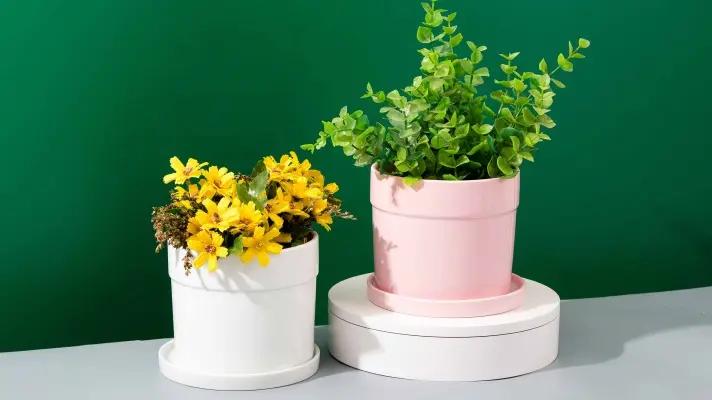 Jieyang Yangyang Ceramic Co., Ltd.