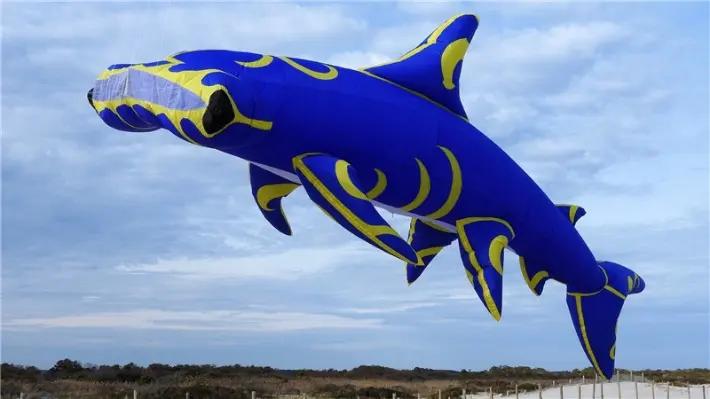 Weifang Kaixuan Kite Manufacture Co., Ltd.
