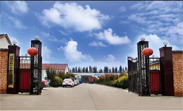 Zhucheng City Chaoyu Goods Shelf Co., Ltd.