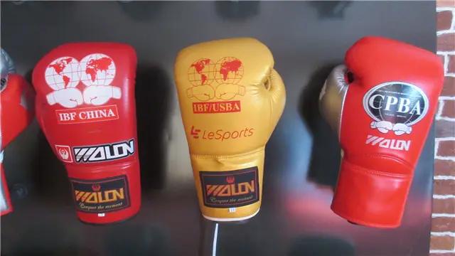 Shijiazhuang Wolon Sports Goods Co., Ltd.