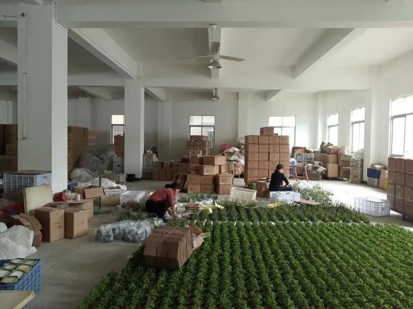 Chaozhou Yuanwang Ceramic Co., Ltd.