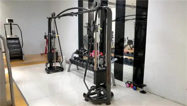 Shandong Lizhixing Fitness Technology Co., Ltd.