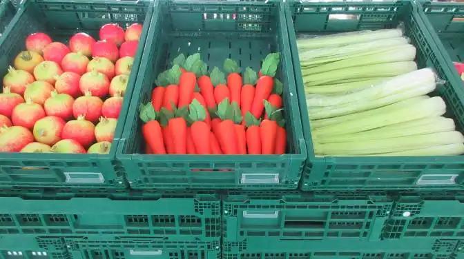 Zhejiang Zhengji Plastic Industry Co., Ltd.