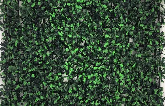 Haining Jiangsen Artificial Grass Co., Ltd.