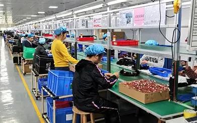 Supplier
