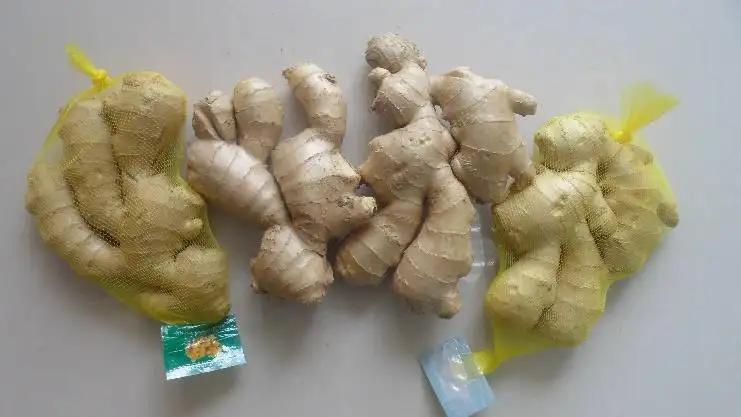 Shandong Sinofarm Food Co., Ltd.