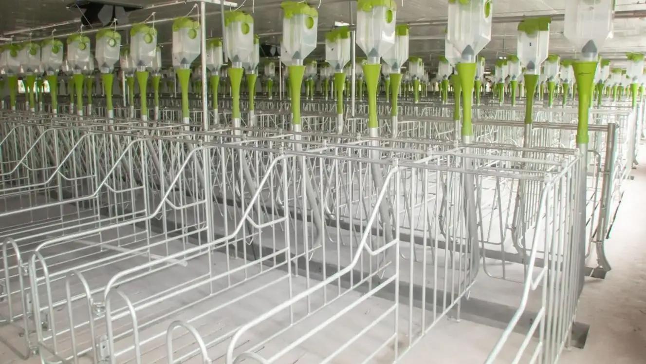Qingdao Deba Brother Machinery Co., Ltd.