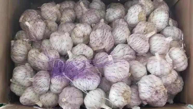 Jining Fenduni Foodstuff Co., Ltd.