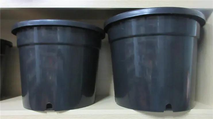 Xiamen Xiexinlong Technology Co., Ltd.