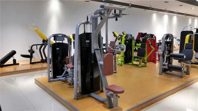 Shandong Lizhixing Fitness Technology Co., Ltd.