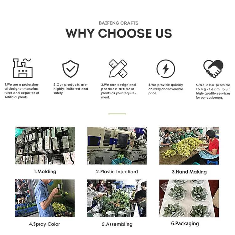 Huizhou Baifeng Crafts Co., Ltd.