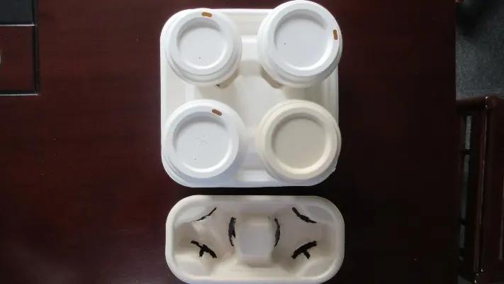 Hangzhou Tomato Environmental Protection Technology Co., Ltd.