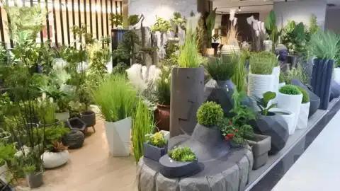 Foshan Nature Space Design Co., LTD