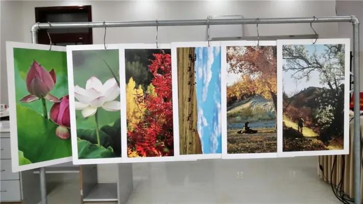 Zibo Dingtian Plastics Co., Ltd.