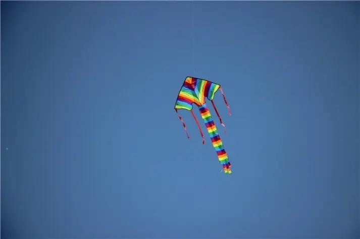 Weifang Kaixuan Kite Manufacture Co., Ltd.