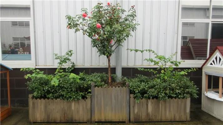 Fujian Shunchang Shengsheng Wood Industry Limited Company
