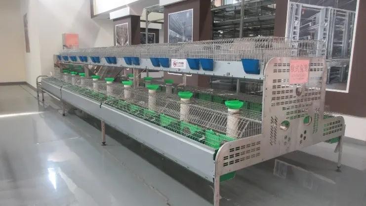 Supplier