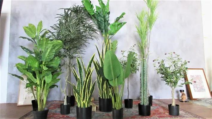 Yiwu Senyang Arts&Crafts Co., Ltd.