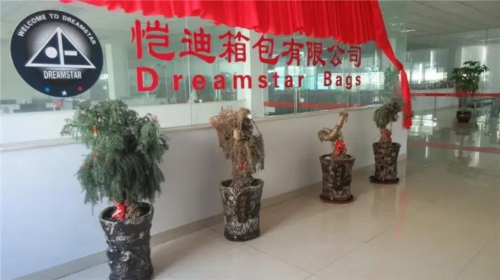 Fujian Quanzhou Dreamstar Bags Co., Ltd.