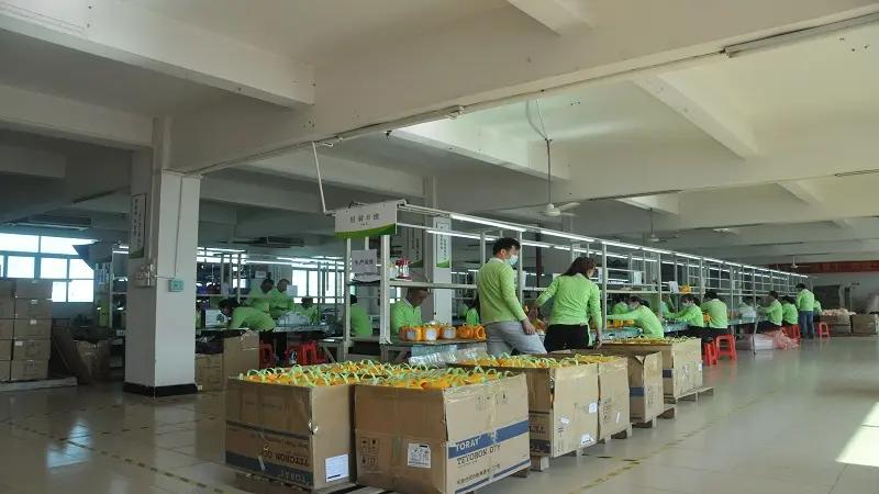 Supplier