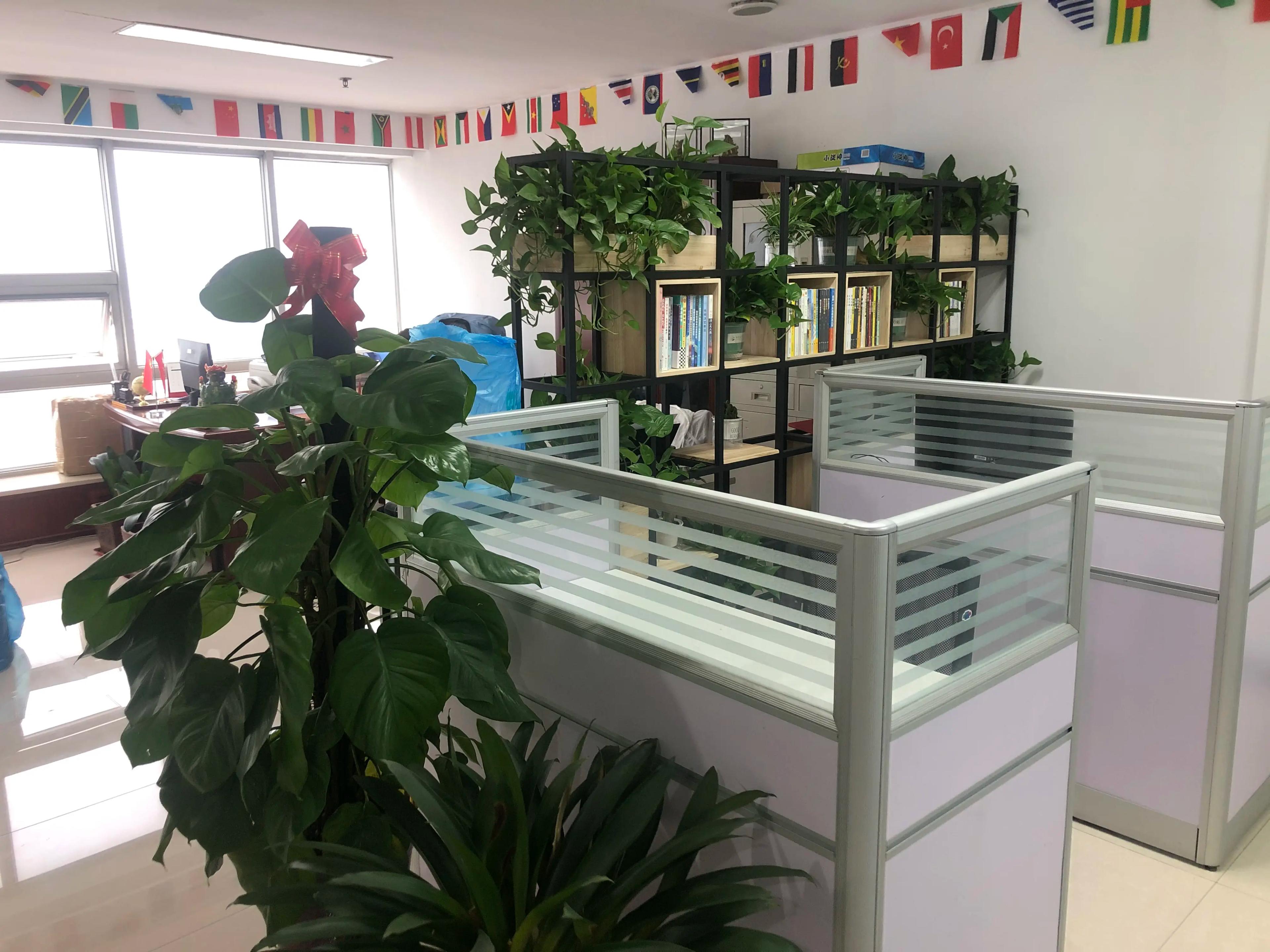 Shijiazhuang Lingjie Trading Co., Ltd.
