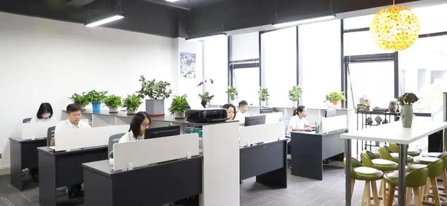 Shenzhen Lion Packaging Co., Ltd.