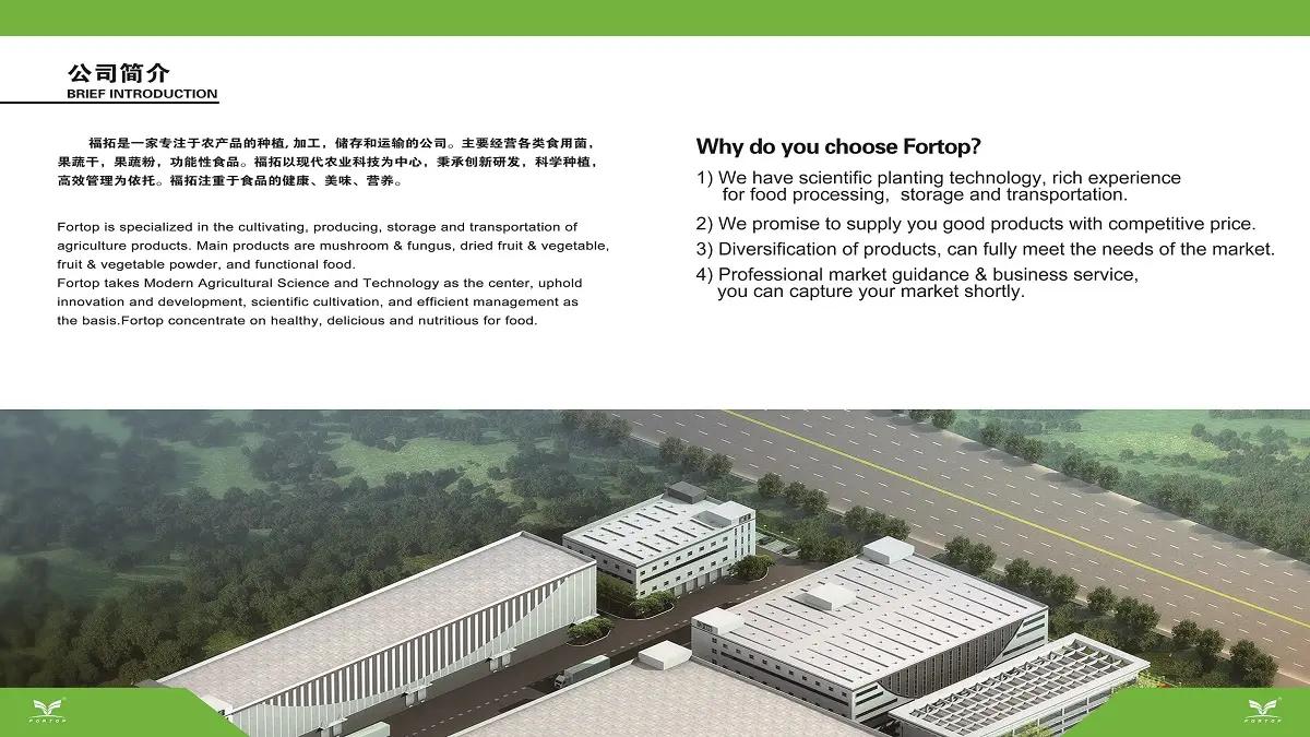 Supplier