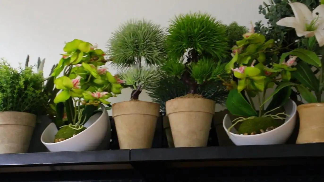 Ningbo Yinzhou Tingbin International Trade Co., Ltd.