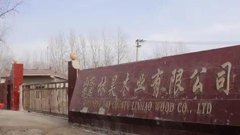 Shandong Cao County Linhao Woods Co., Ltd.