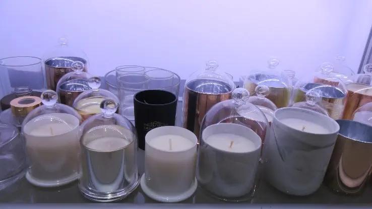Shanghai Wellness Crafts Co., Ltd.