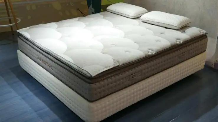 Shenzhen Zhongshen Aidi Bedding Technology Co., Ltd.