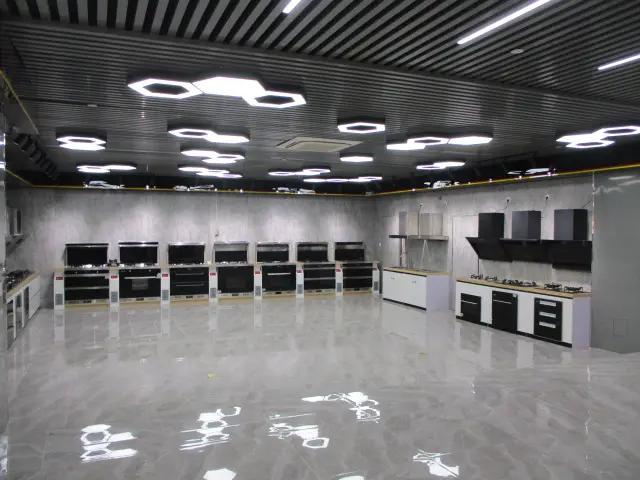 Hannnover Electric Appliance Co., Ltd