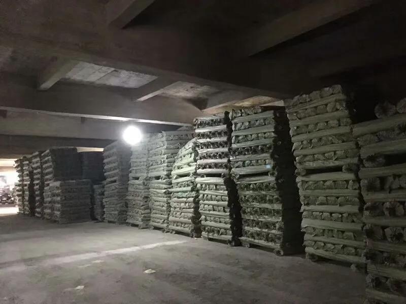 Supplier