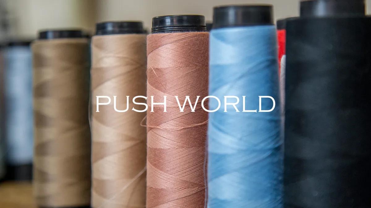 Jiangsu Push World Co., Ltd.