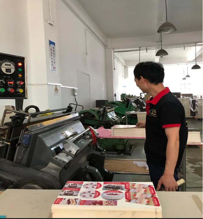Guangdong Xinsheng Industry Co., Ltd.