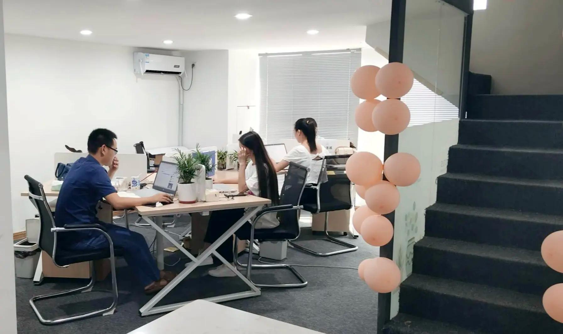 Fuzhou Ice Orange Aesthetic Home Art Co., Ltd.