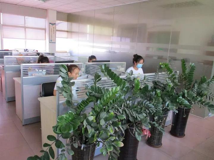 Sheng Jie (Dongguan) Silicone Rubber Product Factory