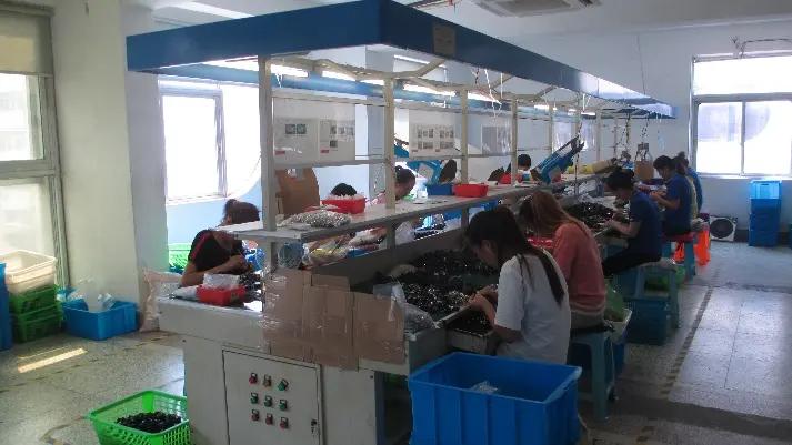 Yueqing Daier Electron Co., Ltd.