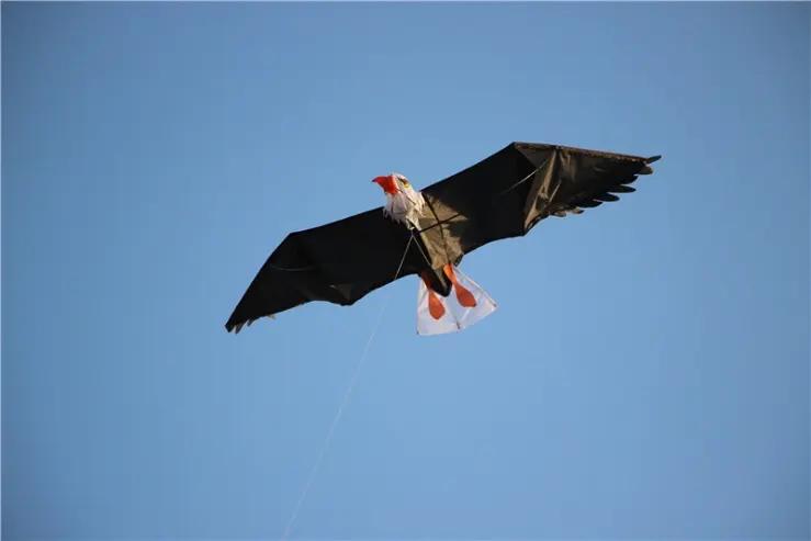 Weifang Kaixuan Kite Manufacture Co., Ltd.