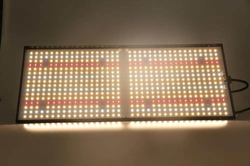 Sunplus Led Technology Co., Ltd.