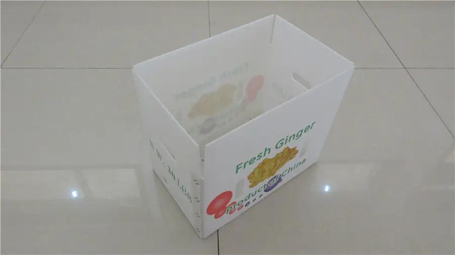 Shandong Corruone New Material Co., Ltd.