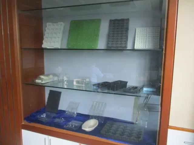 Xiamen Lixin Plastic Packing Co., Ltd.