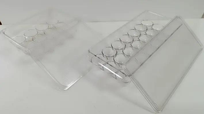 Zhejiang Yuzhu Plastic Industry Co., Ltd.