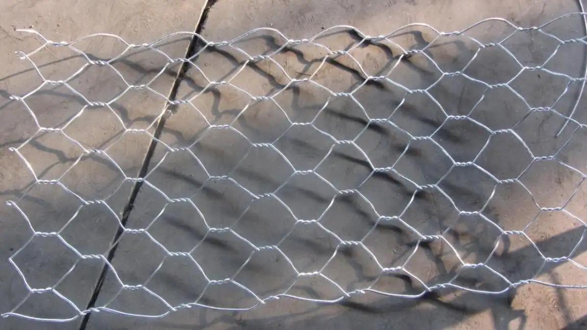 Hebei Hengshi Wire Mesh Trade Co., Ltd.