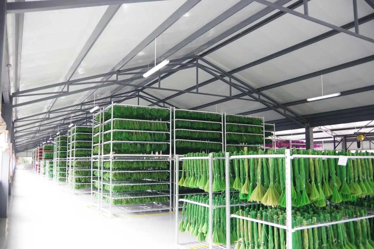Supplier